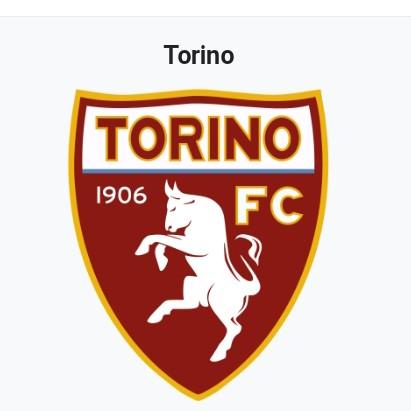 TORINO G
