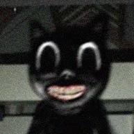 Cartoon Cat