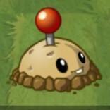 Potato Mine