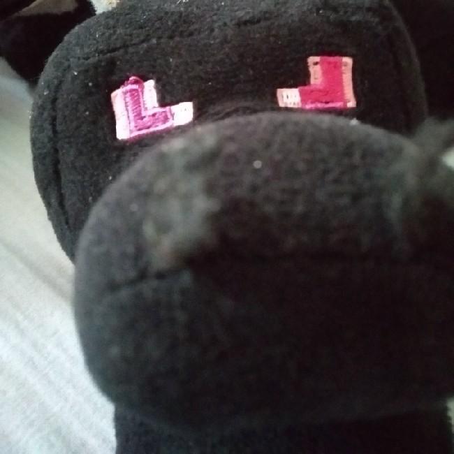 Ender Dragon