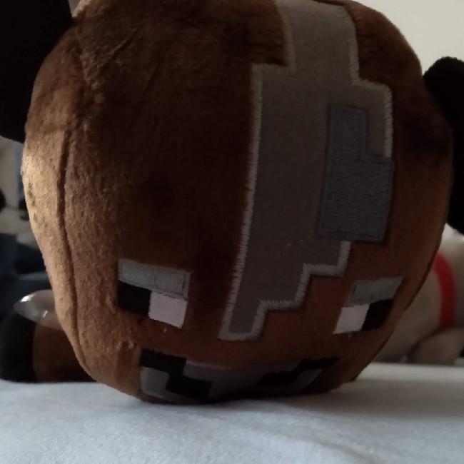 Cow