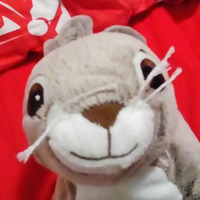 Bunny