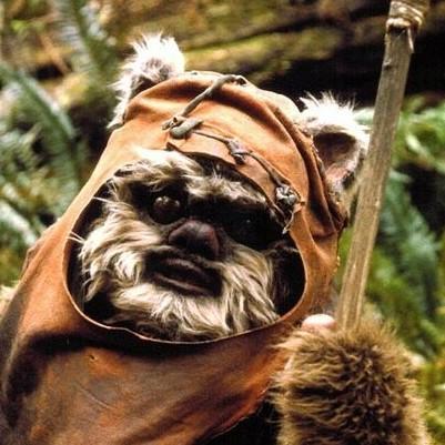 Wicket