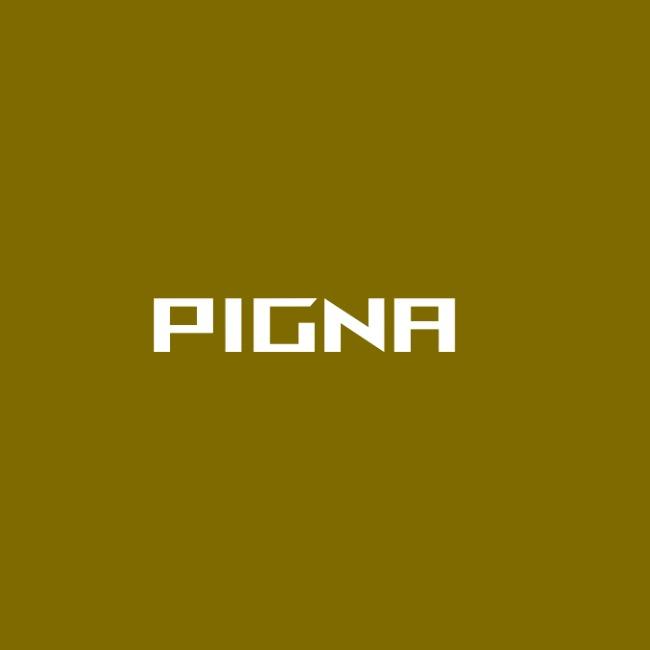 Pigna