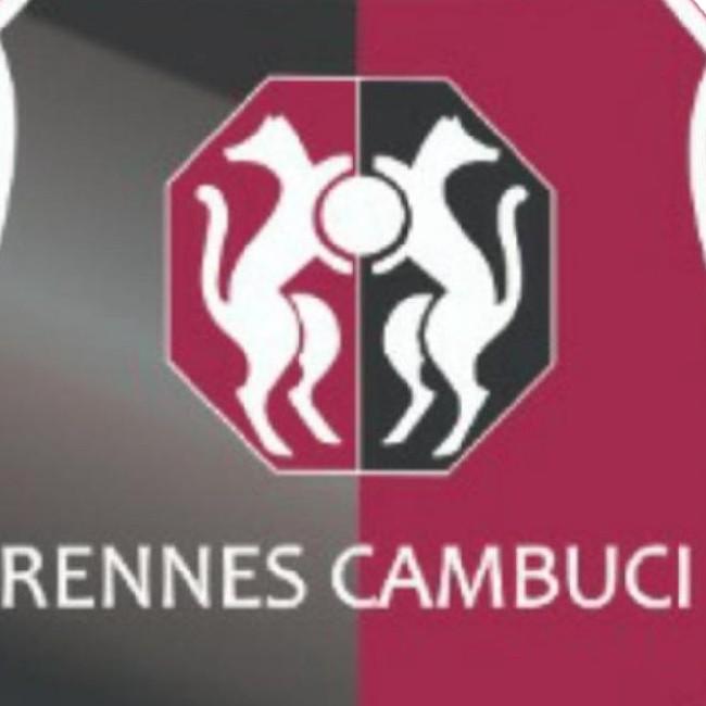 Rennes fc