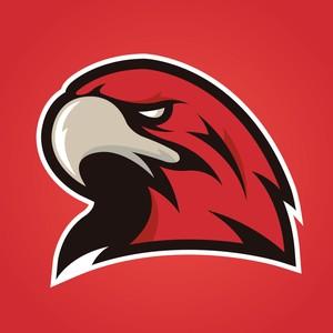 Red Hawks FC