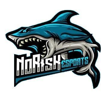 NoRisK Esports