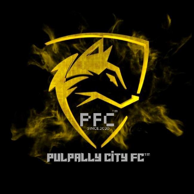PULPALLY CITY FC