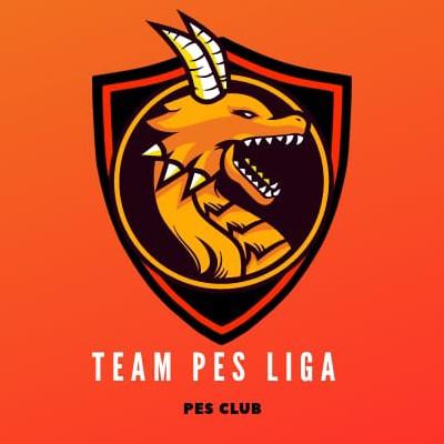 TEAM PES LIGA