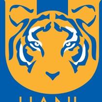 TIGRES