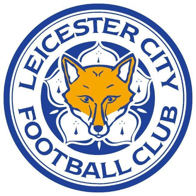 Leicester City Allan RNFIFA