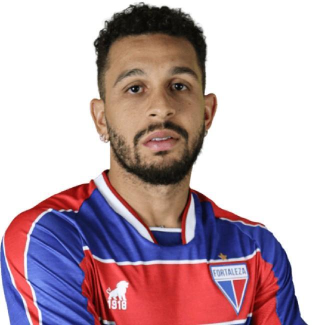 Wellington Nem
