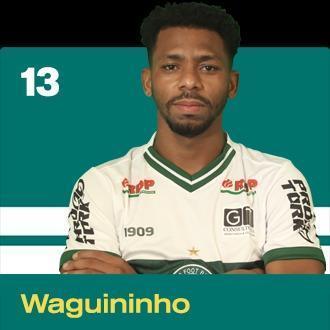 Waguininho