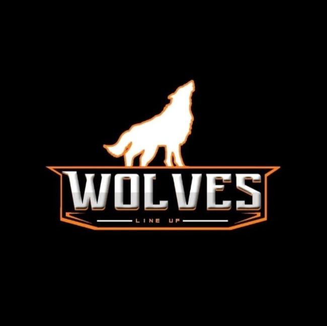 LINE WOLVES S.A