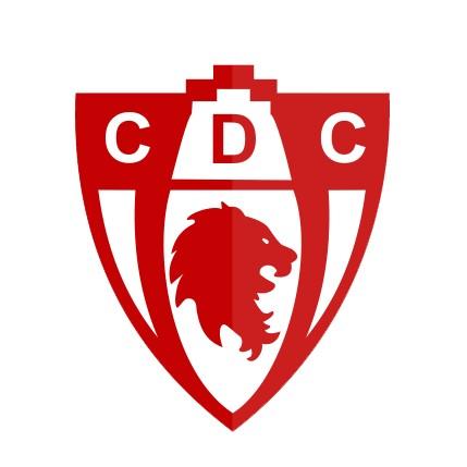 Deportes copiapo