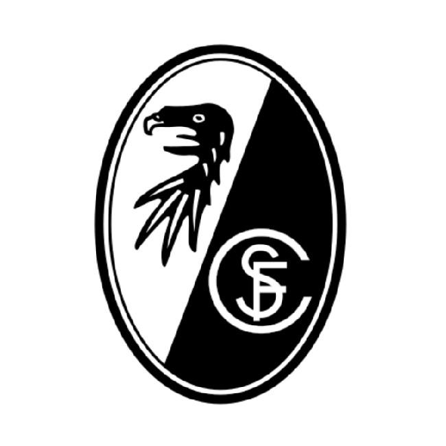 🇩🇪 Freiburg