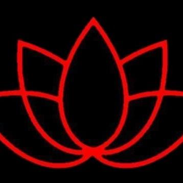 Lotus e-sports
