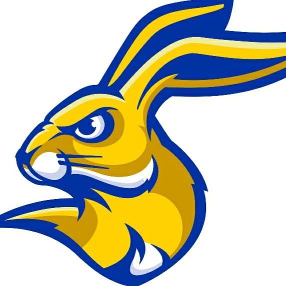 Rabbitsport