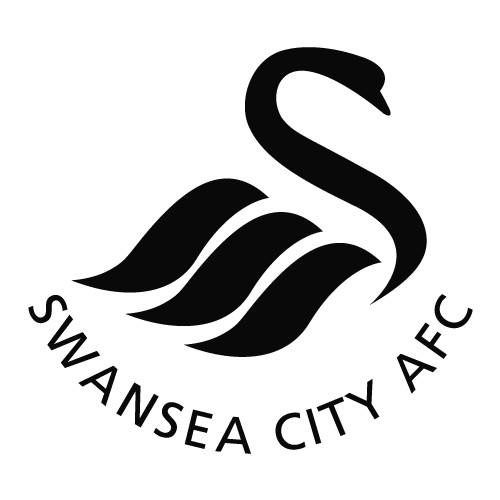 Swansea city