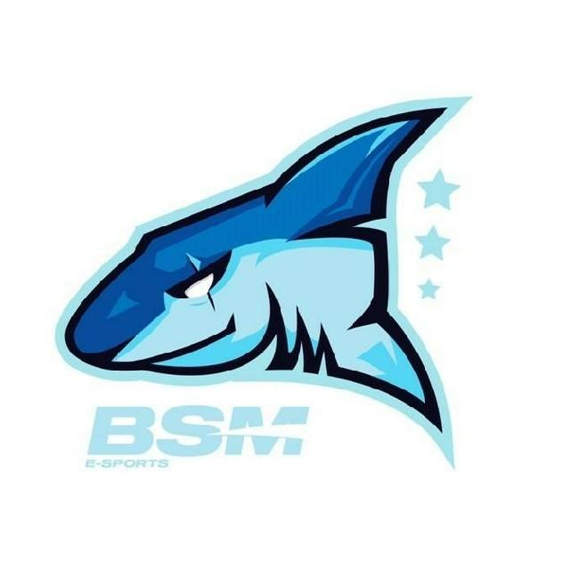 BSM E-SPORT