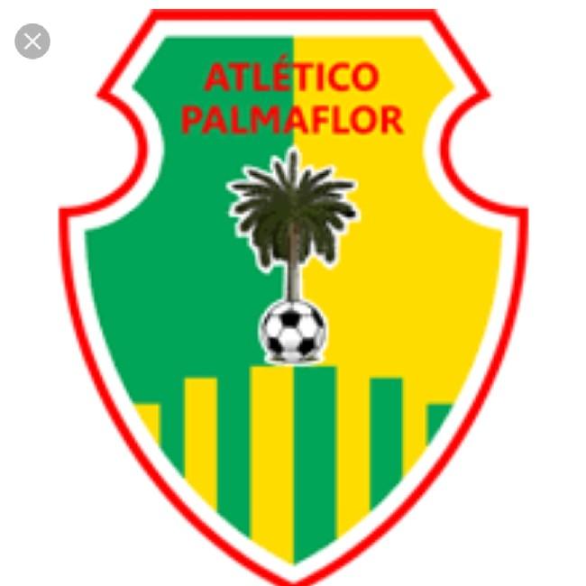CA Palmaflor BOL