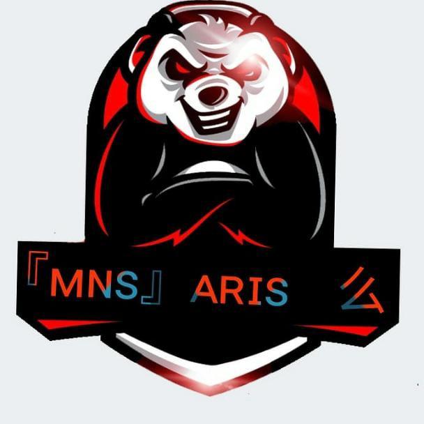 Team MNS