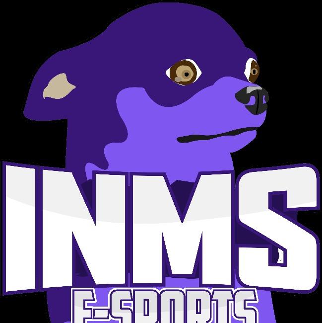 INMS E-SPORTS