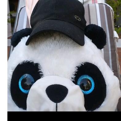 Pandita