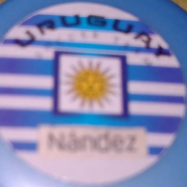 31-Nandez