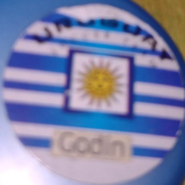 14-Godin