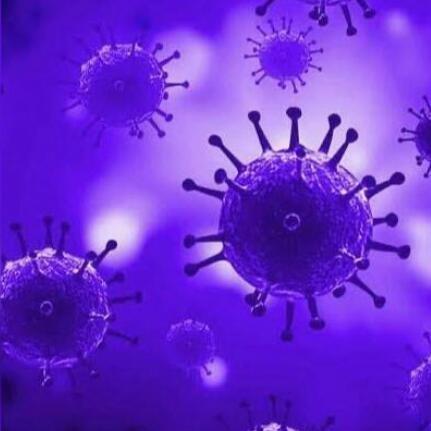 Invirus