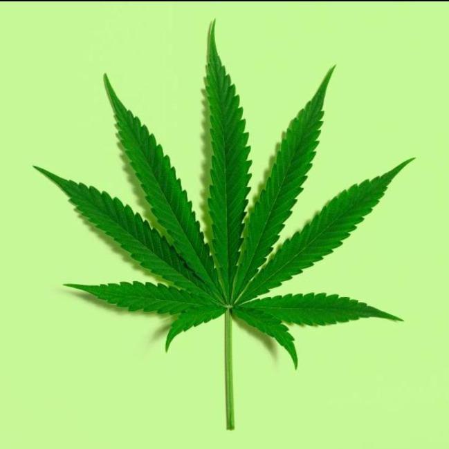 Marijuana