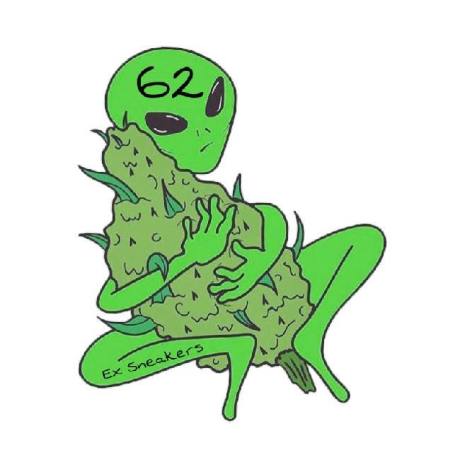 Ex Sneakers 62
