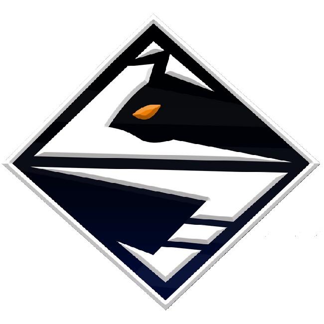 STING Esports