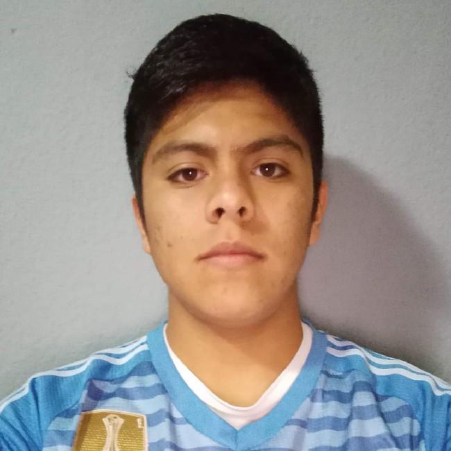 Daniel alexis ramirez gallegos