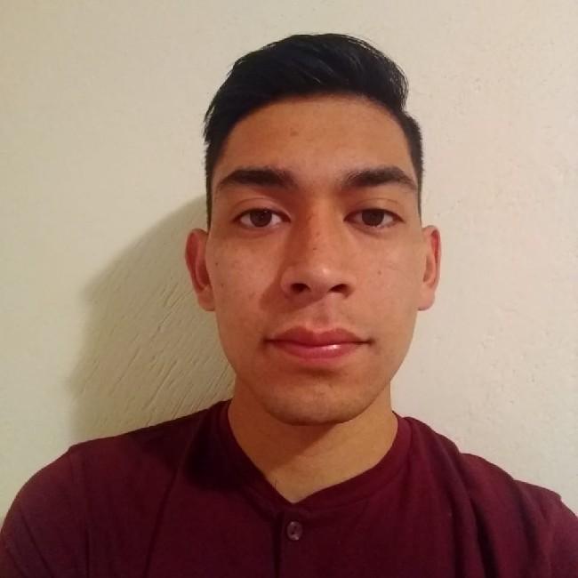Luis Alberto Salazar Pedreguera*