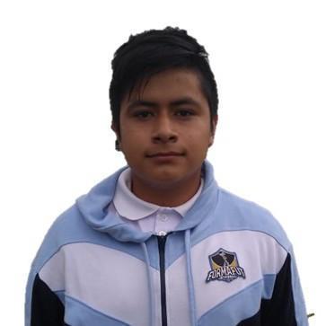 Jesus Ariel  Rios Ramirez