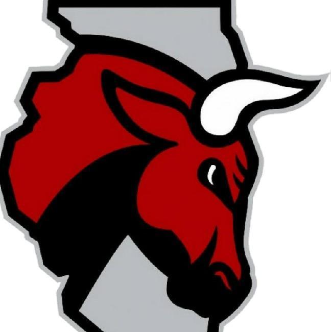Bulls