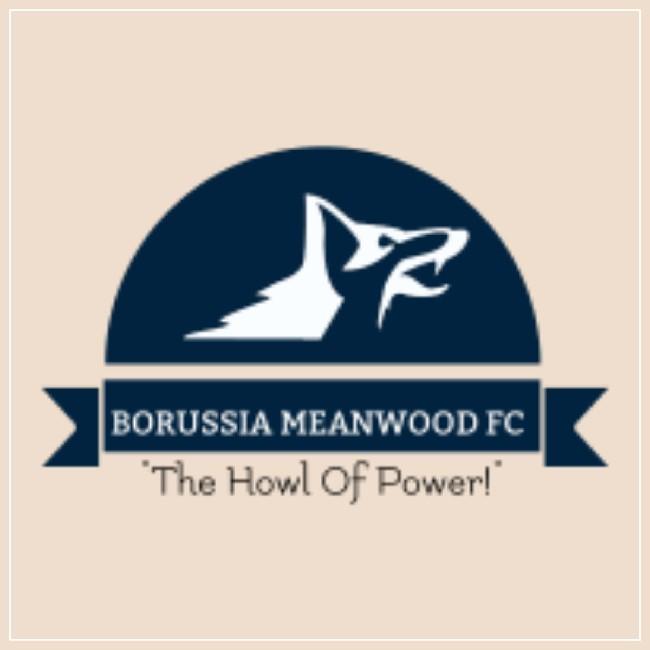 BORUSSIA MEANWOOD FC