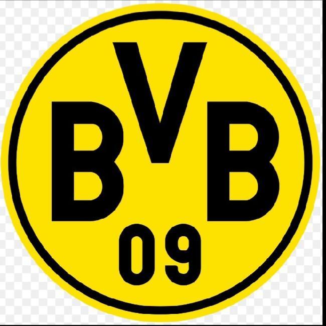 BVB