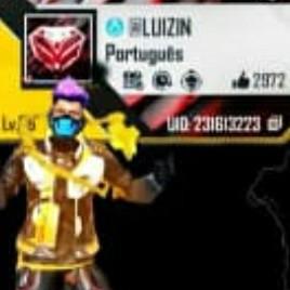 LUIZIN