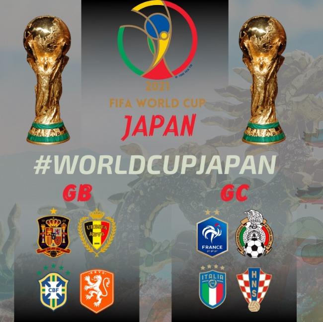 FIFA World Cup - JAPAN