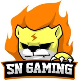 Sunning Esports