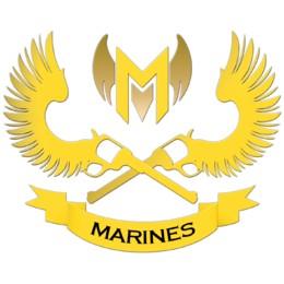 GIGABYTE Marines