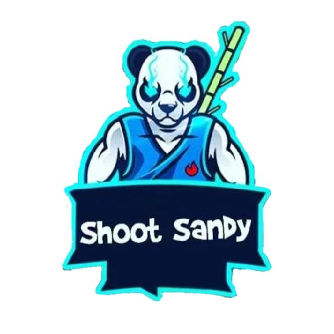 Shoot Sandy