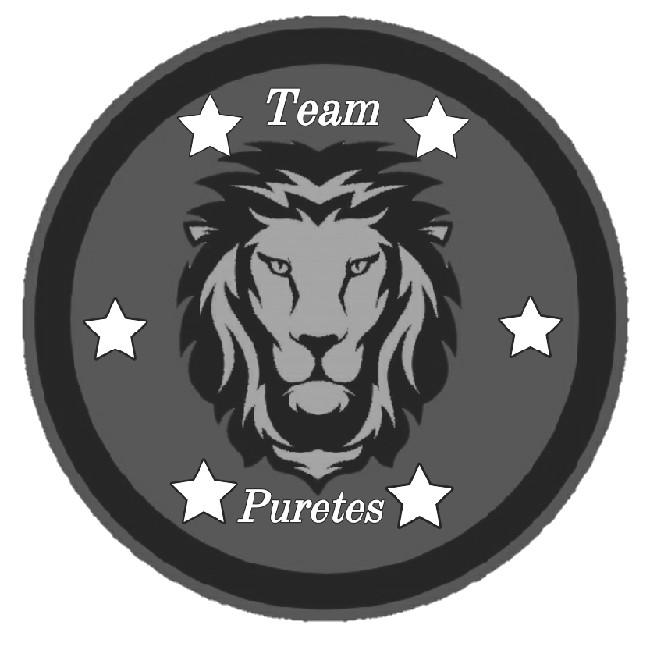 Team Puretes Gray
