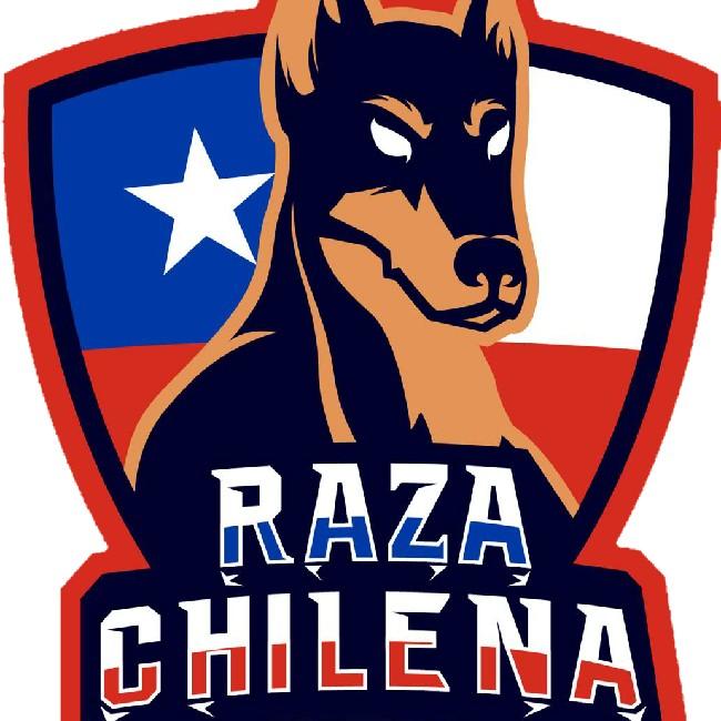 Raza Chilena