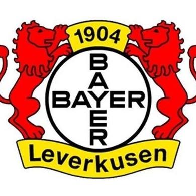 Bayer 04