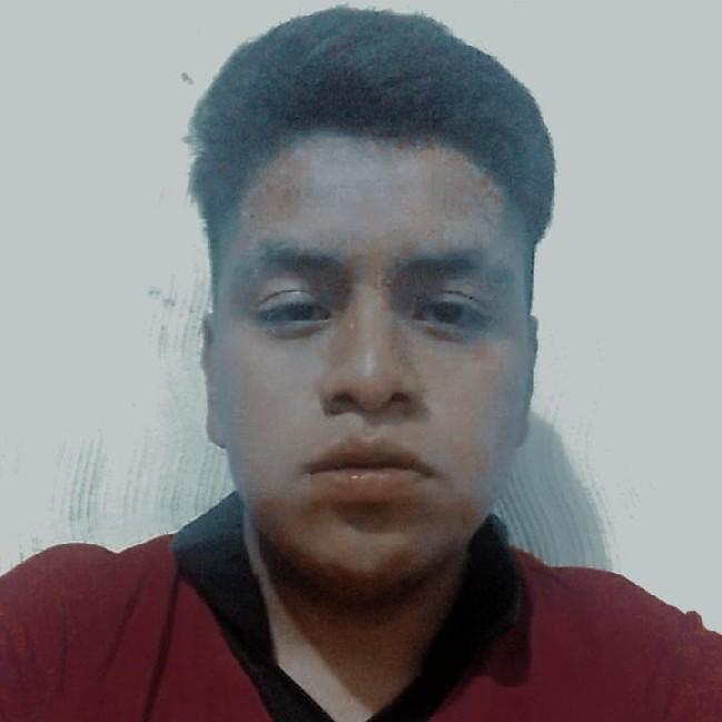 Rodrigo Ivan  Santos Dominguez