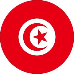 Ligue of tunisia